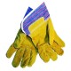 GANTS DOCKERS