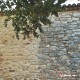 ANTIMOUSSE FACADE
