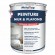 PEINTURE MUR ET PLAFOND