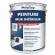 PEINTURE MUR INTERIEUR 