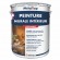 PEINTURE MURALE INTERIEUR