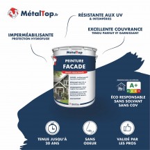 PEINTURE FACADE