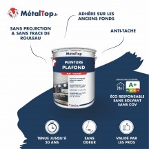 PEINTURE PLAFOND