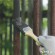 PEINTURE METAL ROUILLE