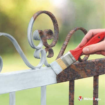 PEINTURE METAL ROUILLE