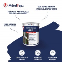 ANTIROUILLE GRIS