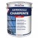 ANTIROUILLE CHARPENTE