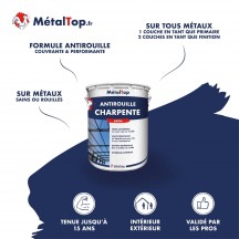 ANTIROUILLE CHARPENTE