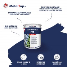 ANTIROUILLE FER