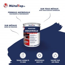 PEINTURE INDUSTRIELLE