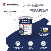 PEINTURE PAPIER PEINT