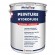 PEINTURE HYDROFUGE