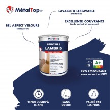 PEINTURE LAMBRIS