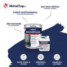 LAQUE POLYURETHANE
