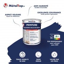 PEINTURE PLAFOND SALLE DE BAIN