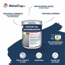 PEINTURE ANTIDERAPANTE