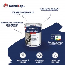 PEINTURE ESCALIER METAL
