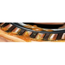 LUBRIFIANT