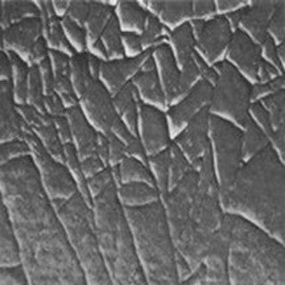 Pelage d'une peinture