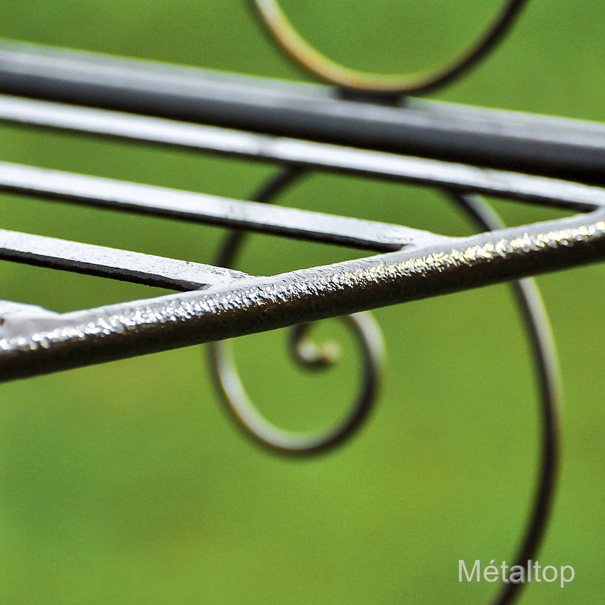 Détail de grille en fer forgé aux volutes et barres métalliques sur fond vert flou