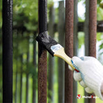 Application de peinture noire au pinceau sur une grille en métal rouillé