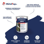 Pot de peinture antirouille MétalTop gris RAL 7040, finition mate, multisupport