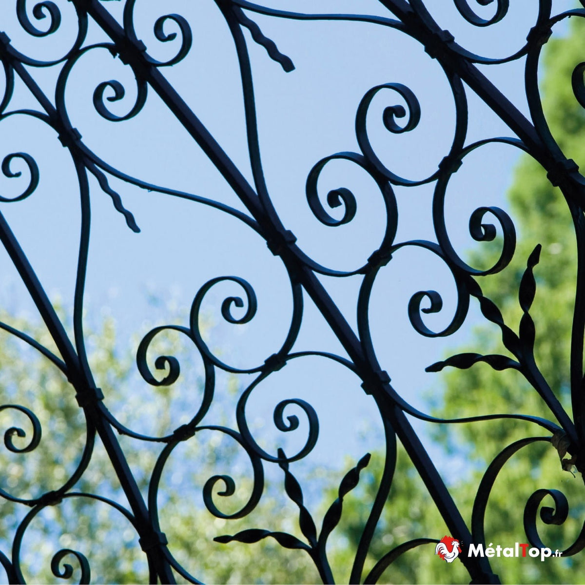 Grille en fer forgé noir à volutes et spirales sur fond de ciel bleu et feuillage vert