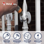 Peinture blanche sur grille en fer forgé à fleurs de lys : brosse, rouleau, pistolet, aérosol