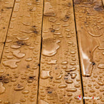 Lames de terrasse en bois couvertes de gouttes d'eau et de flaques après la pluie