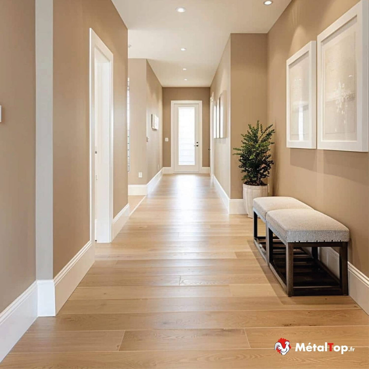 Couloir au parquet clair, murs beige et plinthes blanches, avec banc rembourré et plante verte