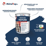 Pot de peinture toiture MetalTop haute résistance, résistant aux UV et imperméabilisant