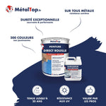 Pot de peinture antirouille MétalTop Direct Rouille et son durcisseur polyuréthane