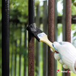 Application de peinture noire au pinceau sur une grille en métal rouillé