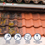 Toiture en tuiles terre cuite avant et après traitement anti-mousse, avec outils d'application