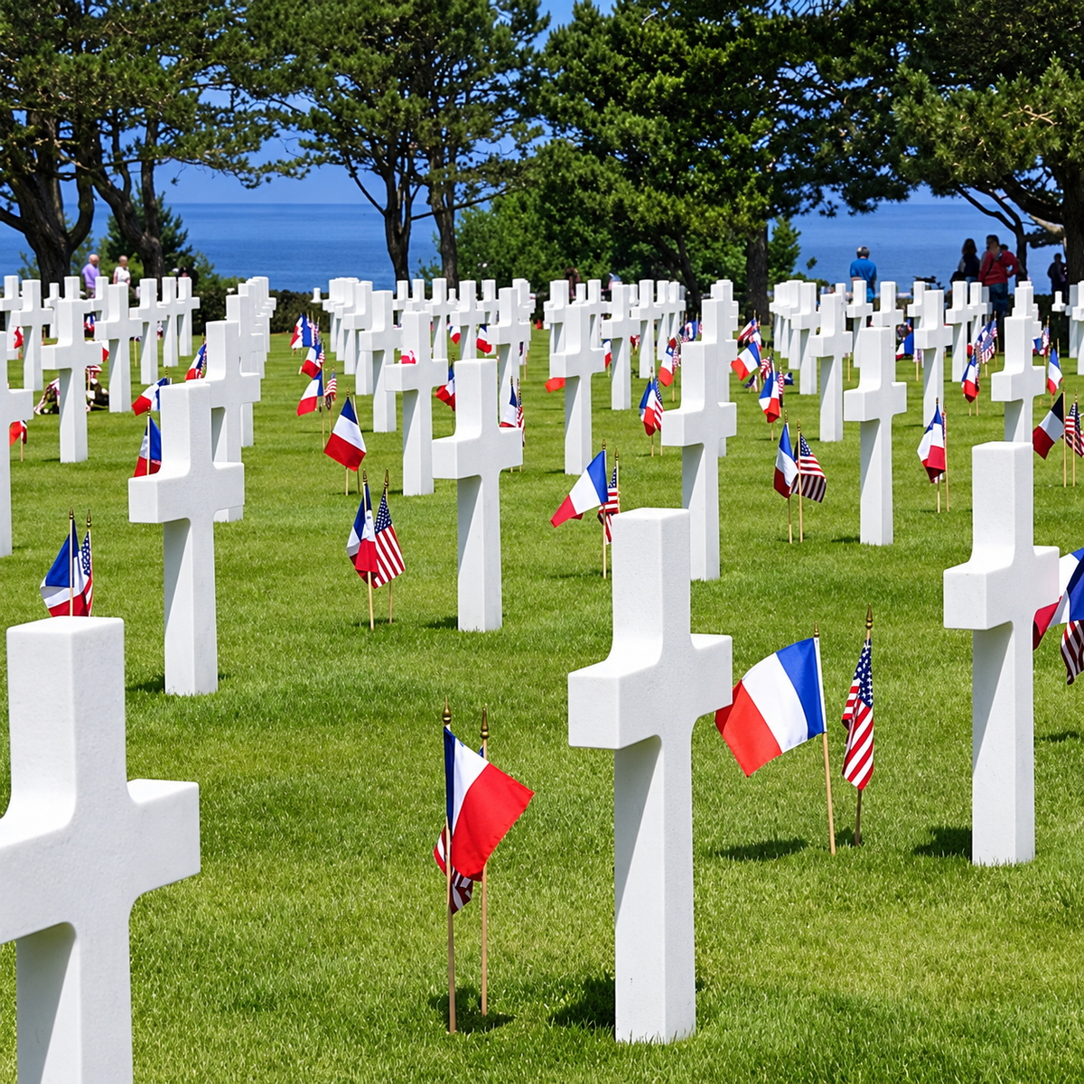 Alignement de croix blanches et drapeaux français dans un cimetière militaire