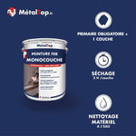 Présentation de la gamme Peinture fermonocouche Métaltop avec conditionnement et conseils d’application