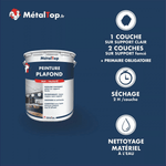 Présentation de la gamme Peinture plafond Métaltop avec conditionnement et conseils d’application