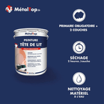 Présentation de la gamme Peinture tetedelit Métaltop avec conditionnement et conseils d’application
