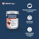 Présentation de la gamme Peinture boisexterieur Métaltop avec conditionnement et conseils d’application