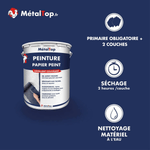 Présentation de la gamme Peinture papierpeint Métaltop avec conditionnement et conseils d’application