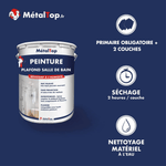 Présentation de la gamme Peinture plafondsalledebain Métaltop avec conditionnement et conseils d’application