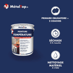 Présentation de la gamme Peinture temperature Métaltop avec conditionnement et conseils d’application